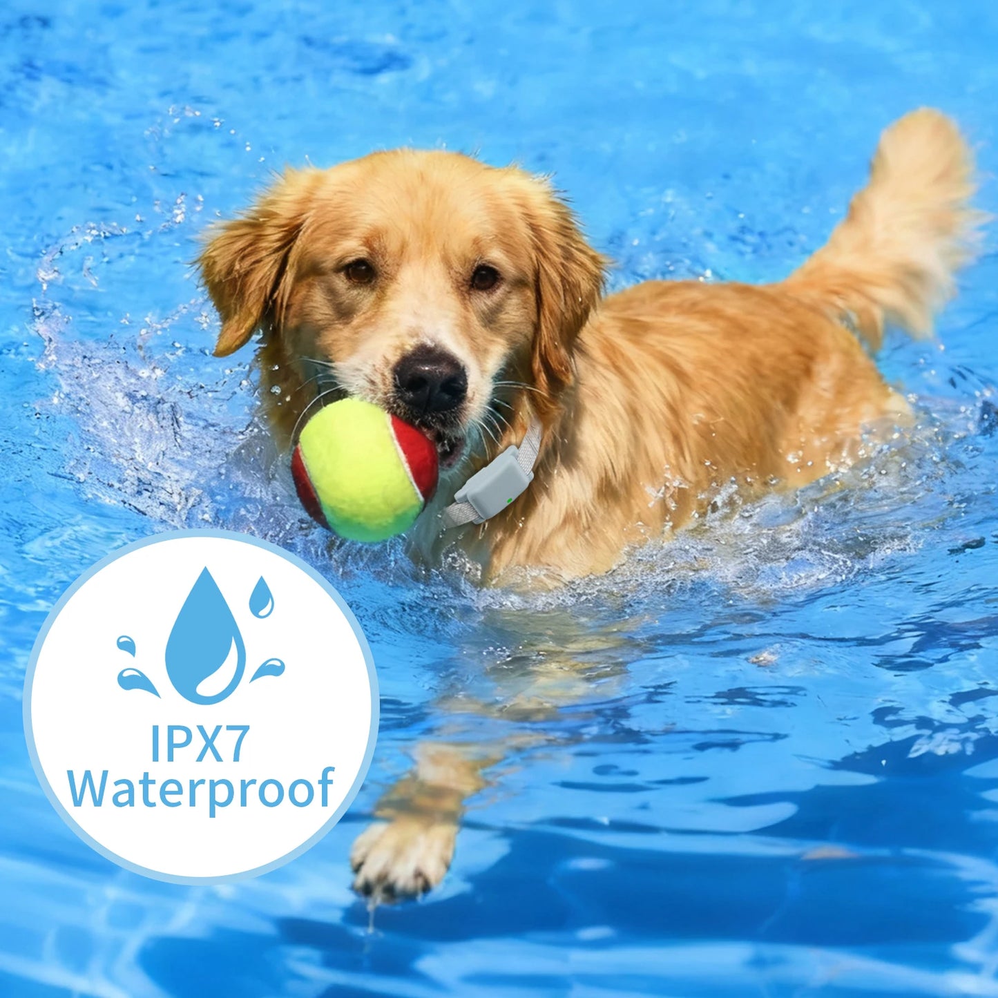 Waterproof IPX7 Dog Training Collar With Remote Three Modes