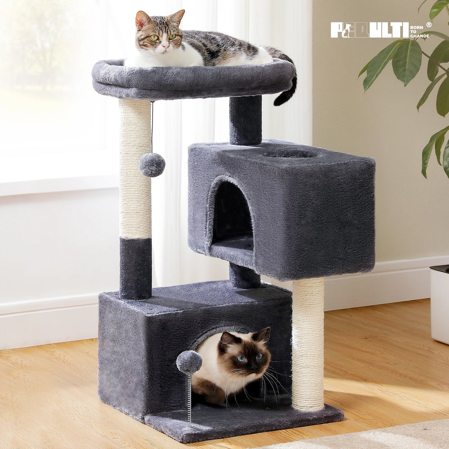 PAWZ Road Large Cat Tree Indoor Multi-Level Tower Condos