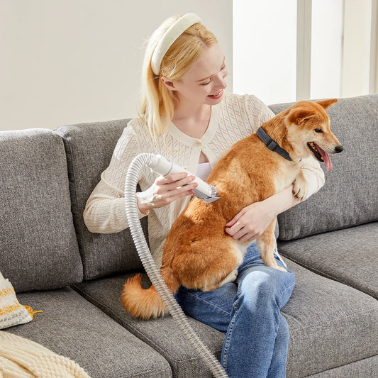 JHK 2.5L Pet Grooming Vacuum Kit 3 Suction Modes Clippers