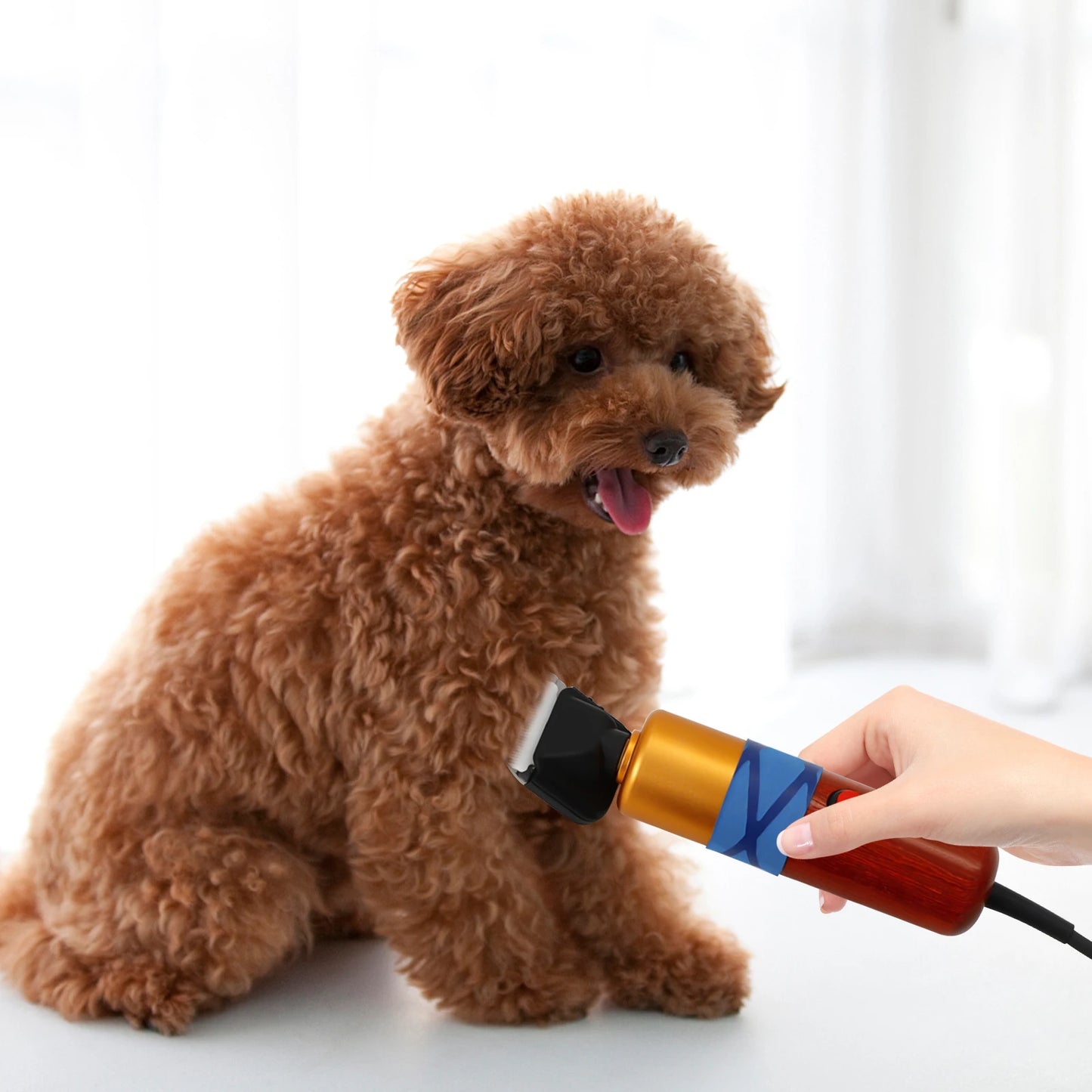 Low Noise Pet Hair Clipper Professional Electric Variable Speed Trimmer