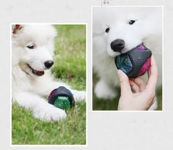 Pet Rubber Bouncing Toy For Dogs Light Up Squeaky Bite Resistant Ball