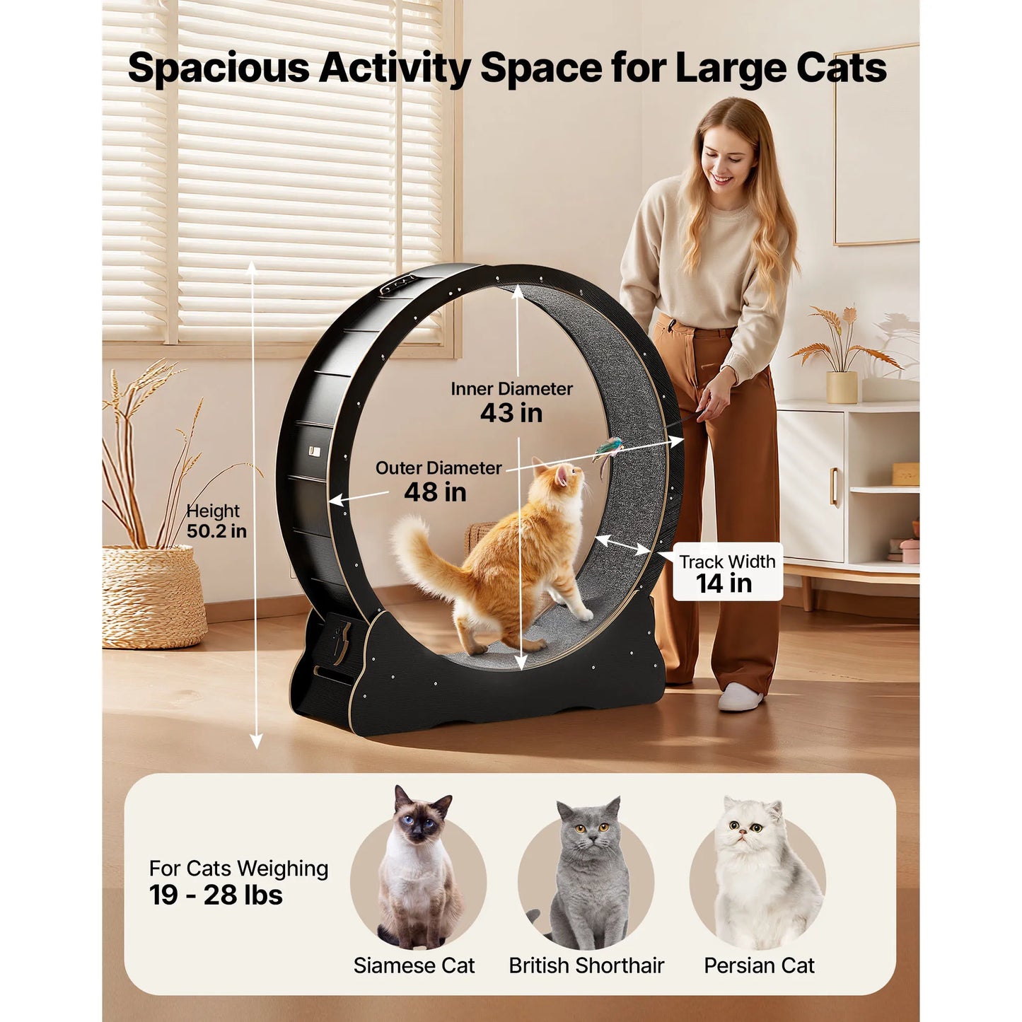Nordara Cat Exercise Wheel Wooden Running Wheel for Indoor Cats