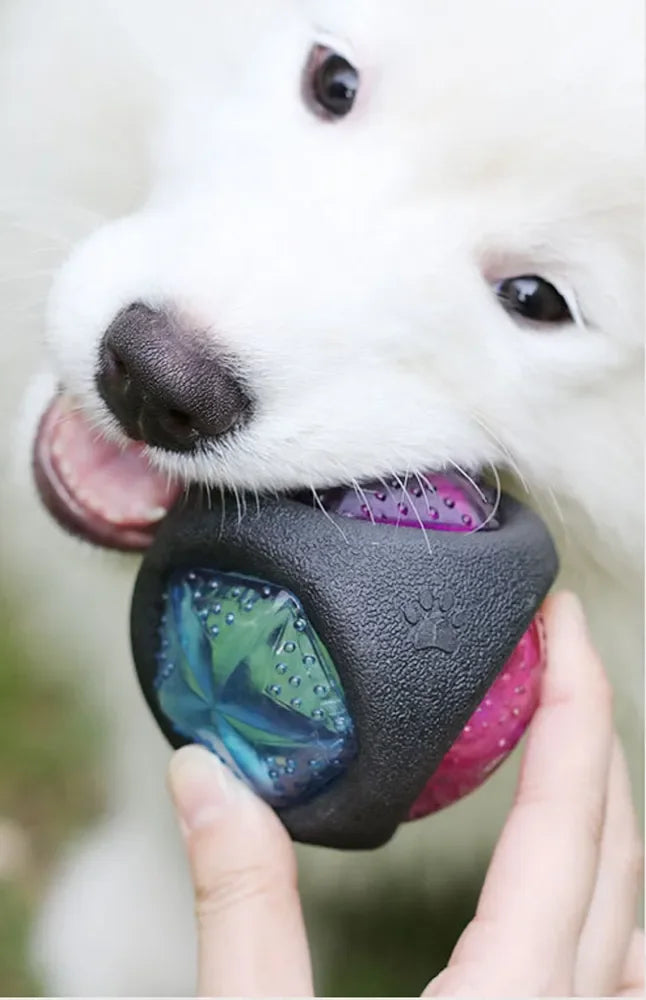 Pet Rubber Bouncing Toy For Dogs Light Up Squeaky Bite Resistant Ball