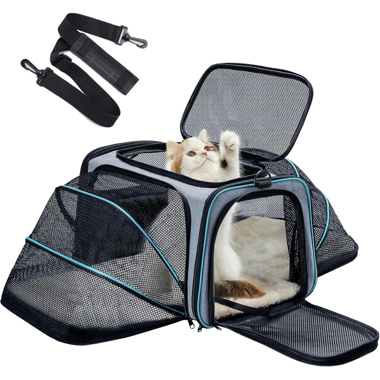 Airline Approved Pet Carrier Backpack With Removable Fleece Pad