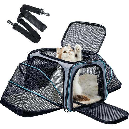 Airline Approved Pet Carrier Backpack With Removable Fleece Pad