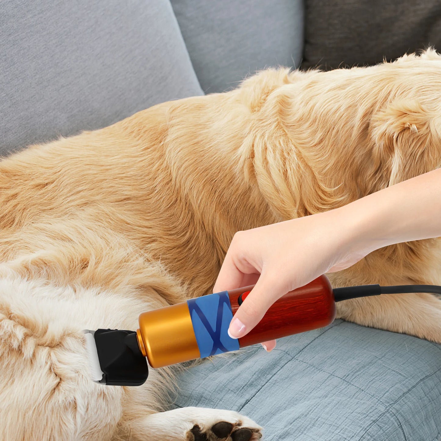 Low Noise Pet Hair Clipper Professional Electric Variable Speed Trimmer