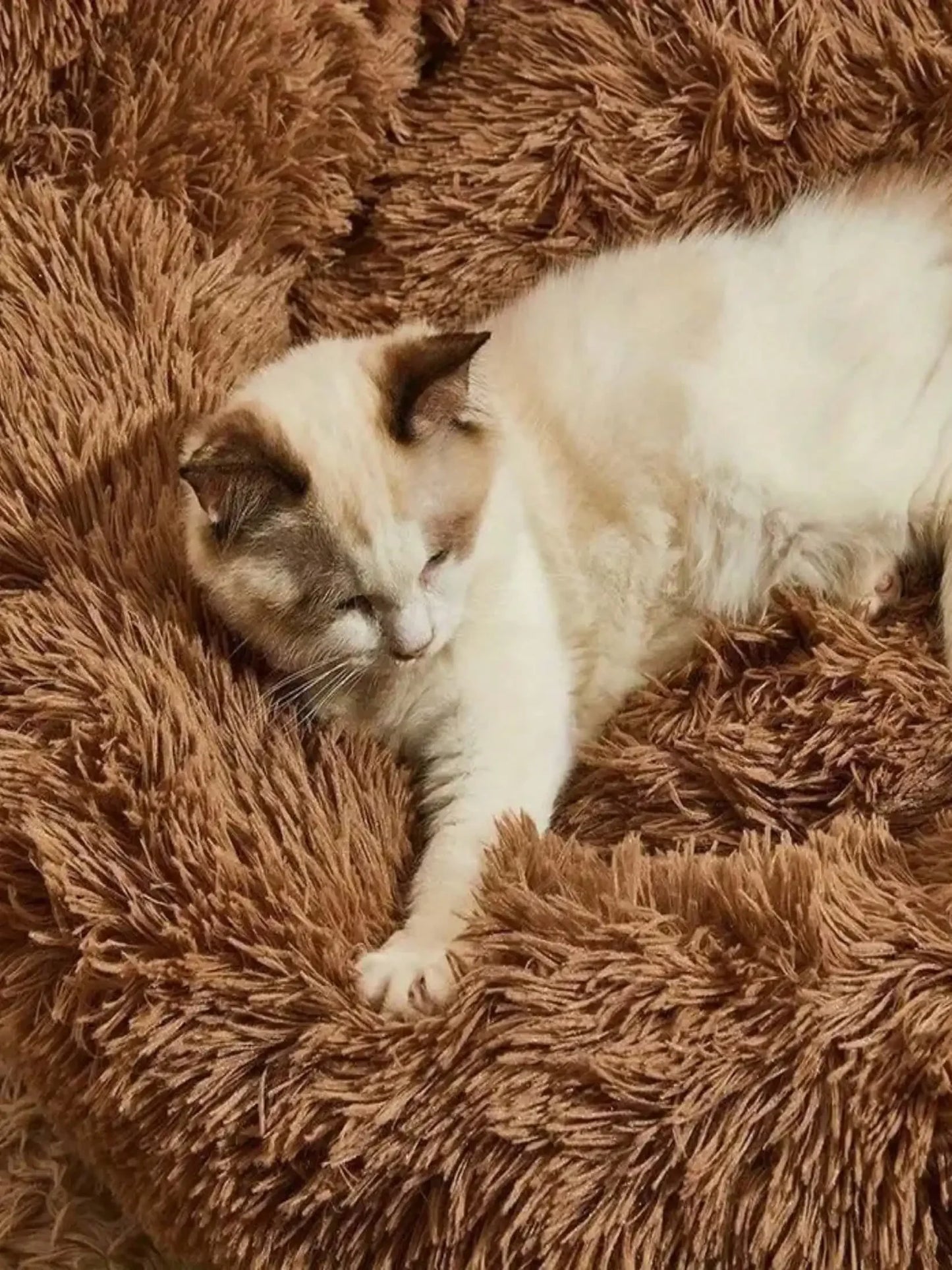 Bear Paw Plush Pet Mat Bed With Non Slip Base For Cats