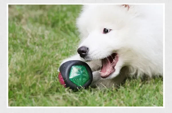 Pet Rubber Bouncing Toy For Dogs Light Up Squeaky Bite Resistant Ball