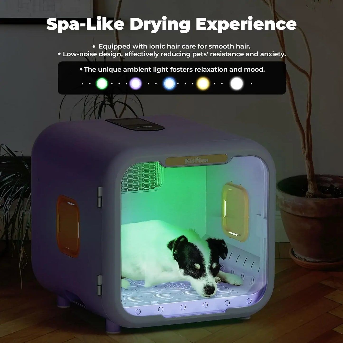 Ultra Quiet Pet Dryer Box Smart Temp Control And Lock