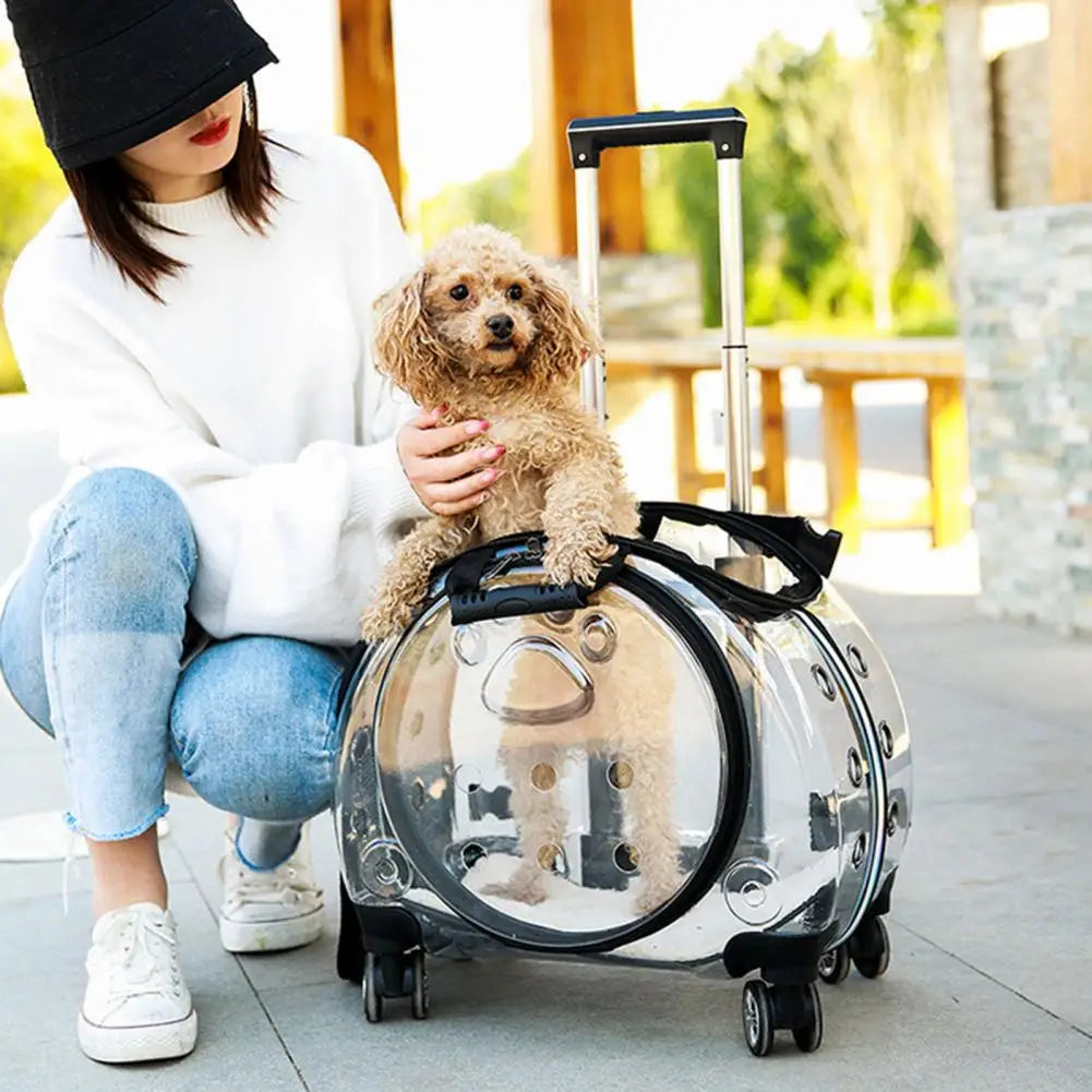 Pet Trolley Case With Ventilation Holes Travel Backpack For Cats